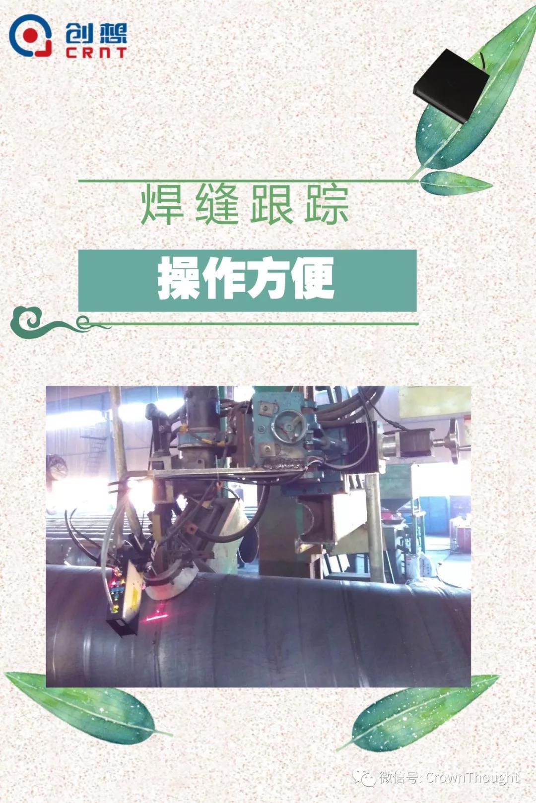 粽葉帶來的不僅僅是粽子，還有...