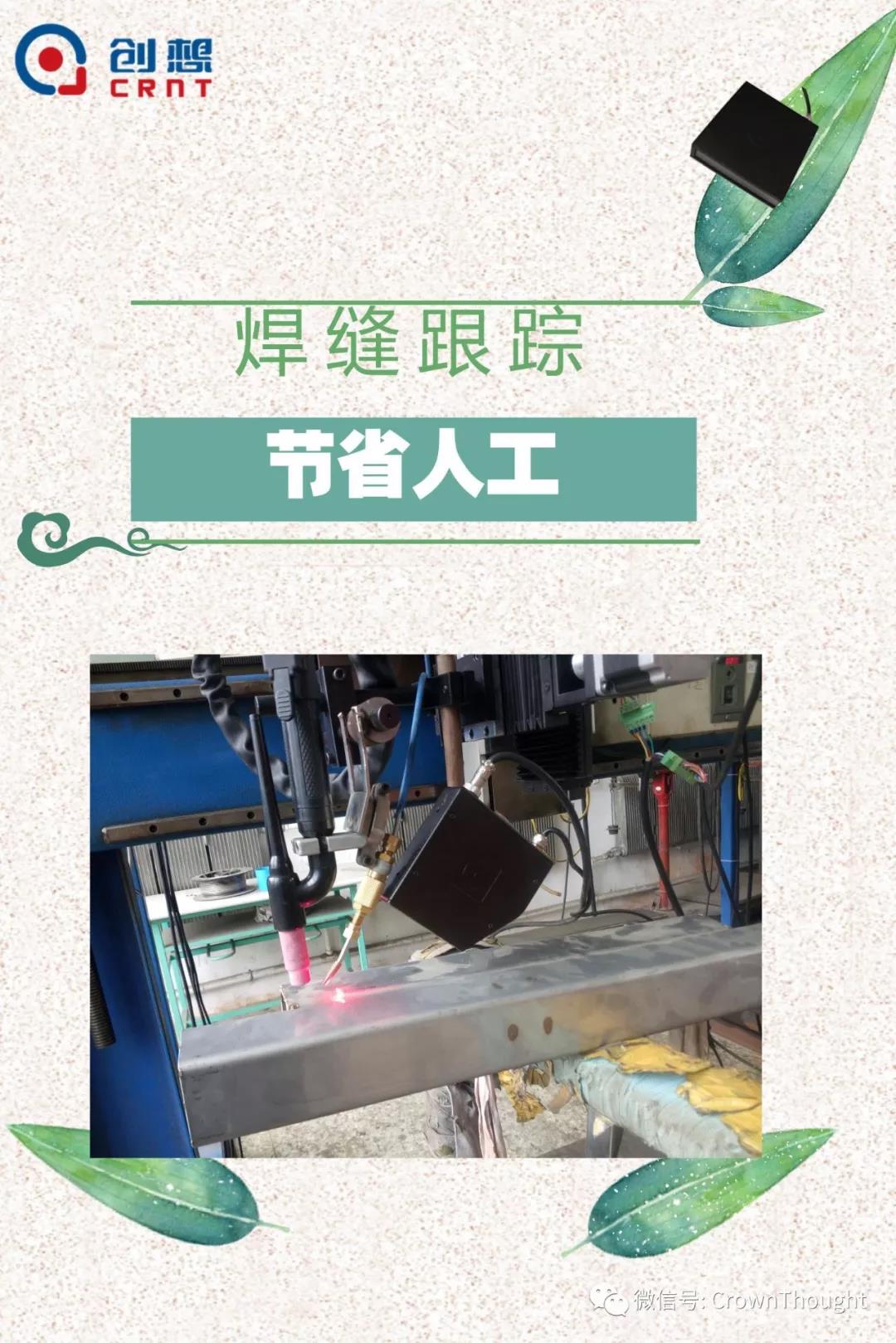 粽葉帶來的不僅僅是粽子，還有...